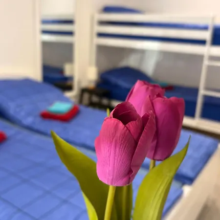 Appartement Of Bascarsija Sarajevo